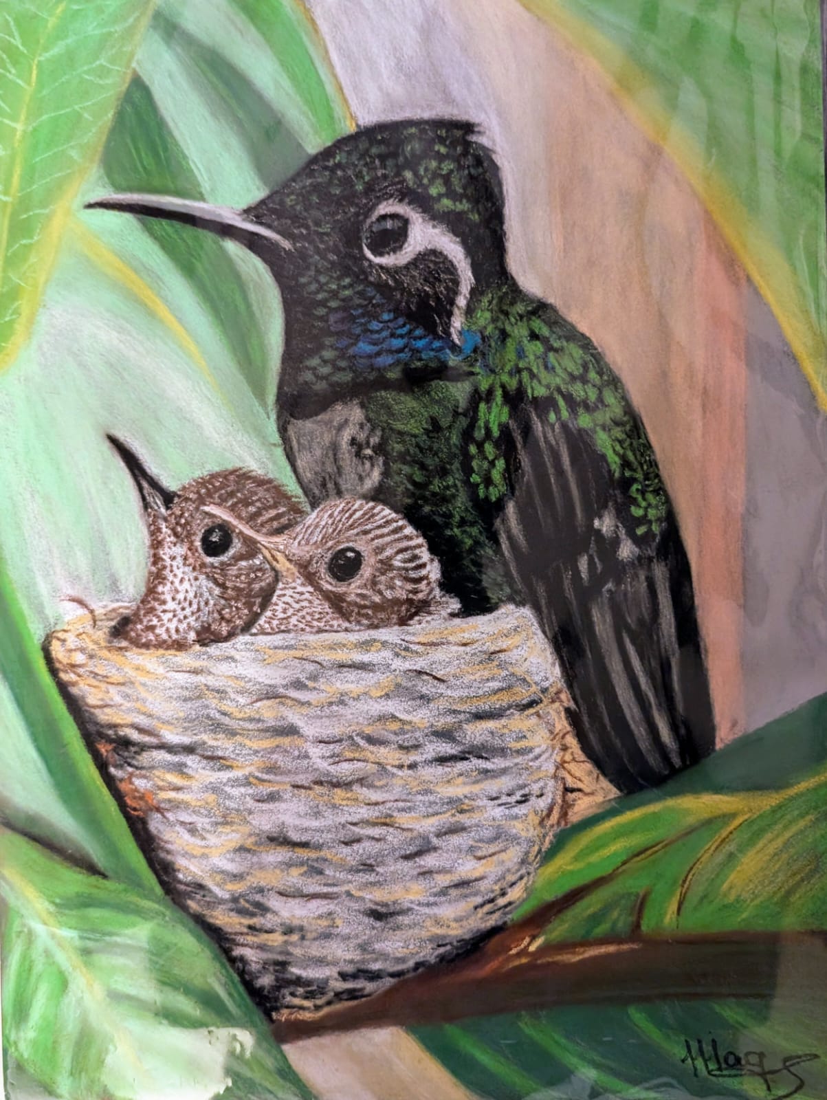 WhatsApp Image 2024-10-28 at 20.39.56