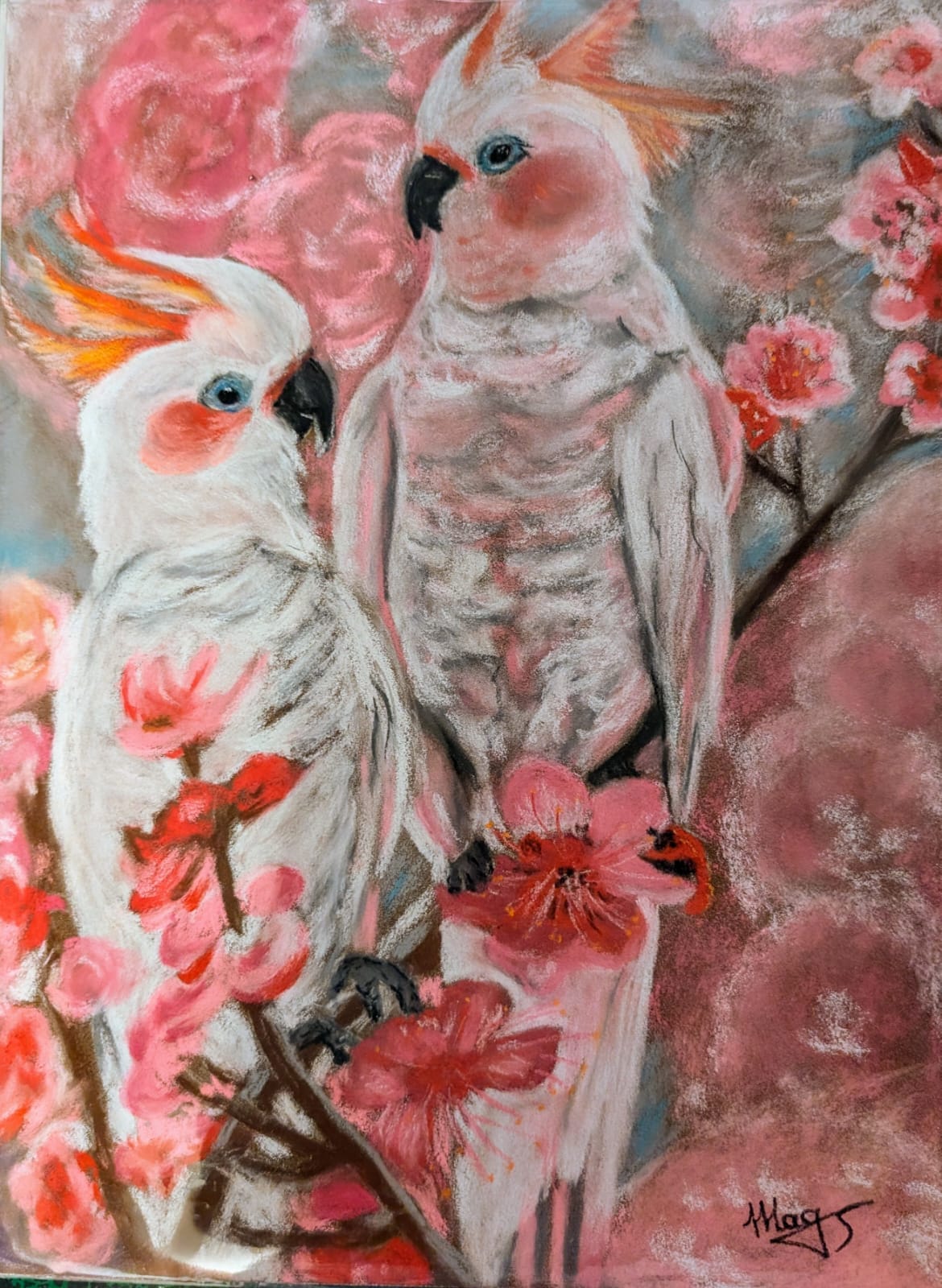 WhatsApp Image 2024-10-28 at 20.39.57